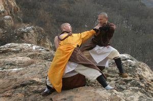 Dimostrazione di combattimento Kung Fu di due monaci Shaolin
