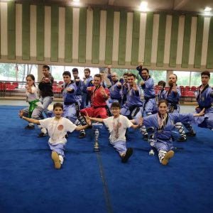 Gara di Kung Fu, gruppo della Shaolin Quan Fa Modena