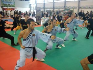 Esibizione di Shaolin Kung Fu a Modena e Reggio Emilia