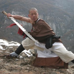 Shi Yan Hui, monaco guerriero del tempio Shaolin