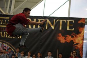 Shaolin Kung Fu, tecnica del calcio volante